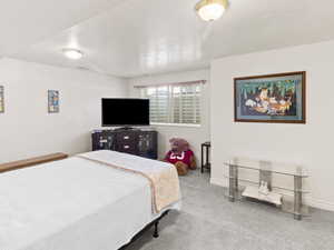 Third bedroom in the home (downstairs)