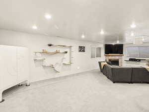 Carpeted living area with a tile fireplace and cat freeway attached to the wall.