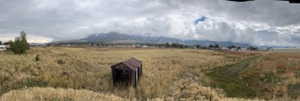 View of yard featuring a view of rural / pastoral area and agricultural plots