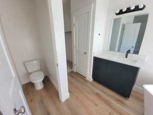 Full bath with vanity, light wood-style flooring, and a walk in closet