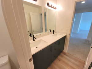 Bathroom featuring double vanity, light wood-style floors, and light colored carpet