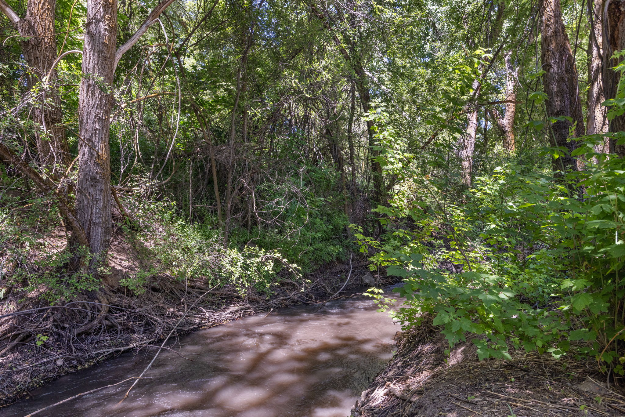 View of undeveloped land