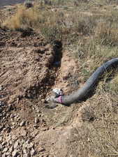 Septic System Connected & Approved!