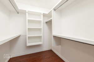 Spacious closet featuring dark wood-style floors