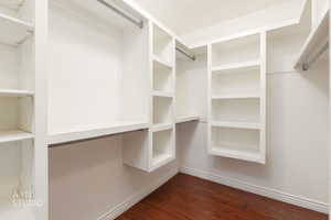 Spacious closet with dark wood-style flooring