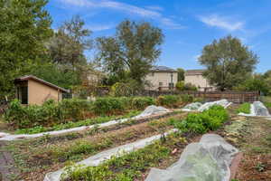 Community garden