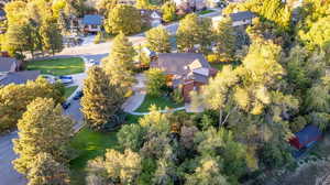 Bird's eye view of a tree filled landscape