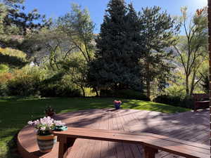 Beautiful secluded upper back yard, with spacious deck, built-in seating and tons of room to entertain!