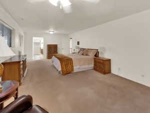 Oversized, spacious Master Bedroom