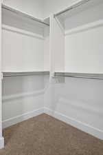 Spacious closet featuring carpet floors