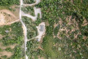 North Fork Rd is to the left of the cabin in this photo.