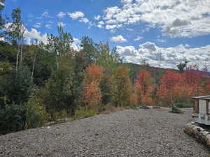 View of side yard featuring an autumn wooded view