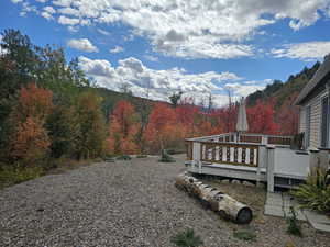 View of yard featuring a forest view and a wooden deck