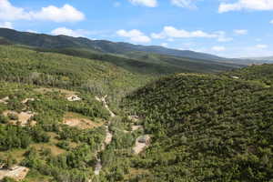 View of mountain background with aspens, scrub oak, and pines nestled along the top of the mountains.