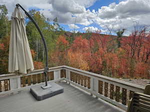 Autumn colors off the deck.