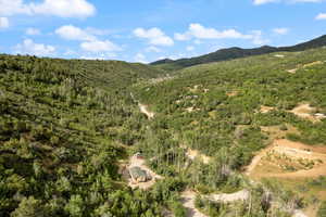 Mountain view with a heavily wooded area.