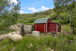 The generator, propane tank, and several frames for stacking wood for the wood stove.