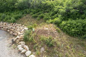 The mound covers the 2,000 gallon underground water tank.  See its pipes to the right of the stone retaining wall.