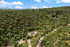 Aerial view of property's location with a forest and a mountainous background.