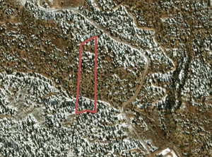 Aerial view of property's location
