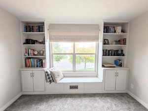 Unfurnished room featuring light colored carpet and built in shelves