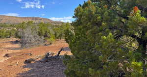 View of mountain backdrop