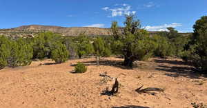 View of mountain background