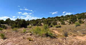 View of undeveloped land
