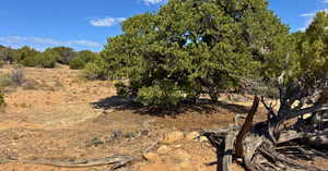View of undeveloped land