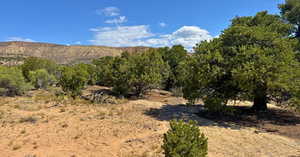 View of mountain background