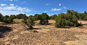 View of undeveloped land