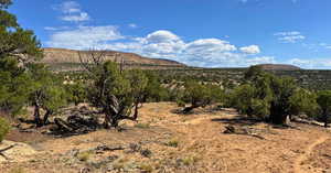 View of mountain backdrop