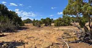 View of undeveloped land featuring rural landscape