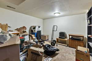 Basement Bedroom with a textured wall and a textured ceiling