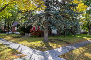 View of corner of property.