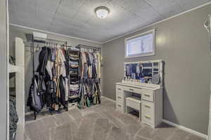 Spacious closet featuring light colored carpet