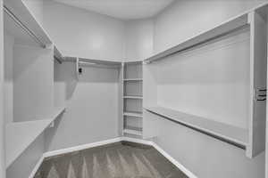 Spacious closet with light colored carpet