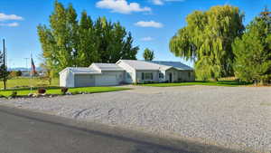 Ranch-style home featuring concrete driveway, a front yard, and an attached garage