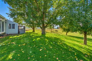 View of grassy yard