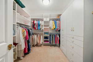 Spacious closet with light carpet