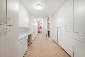 Spacious closet featuring light colored carpet
