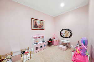 Recreation room featuring crown molding and recessed lighting