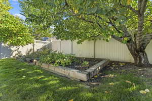 Fenced backyard featuring a garden