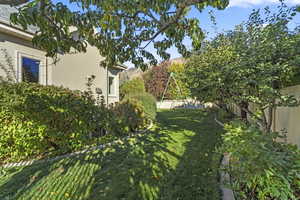 View of fenced backyard