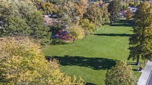 Aerial view of a tree filled landscape