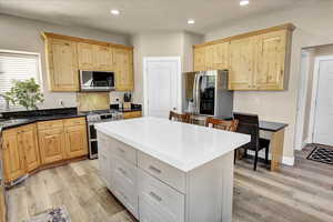 Kitchen with light wood cabinetry, stainless steel appliances, decorative backsplash, and recessed lighting. The island makes this a special gathering area.
