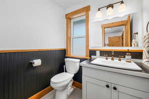 Half bath featuring wainscoting, vanity, and wooden walls