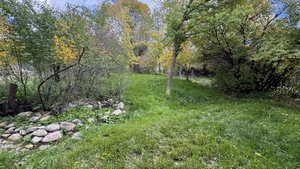 View of undeveloped land