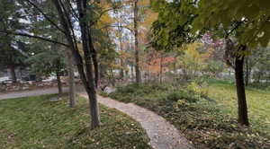 View of community with a lawn