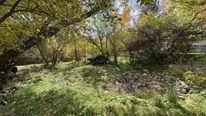 View of undeveloped land